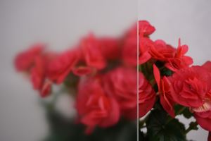 Дымка парникового стекла