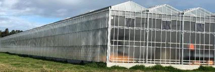 3.2mm/4mm patterned glass